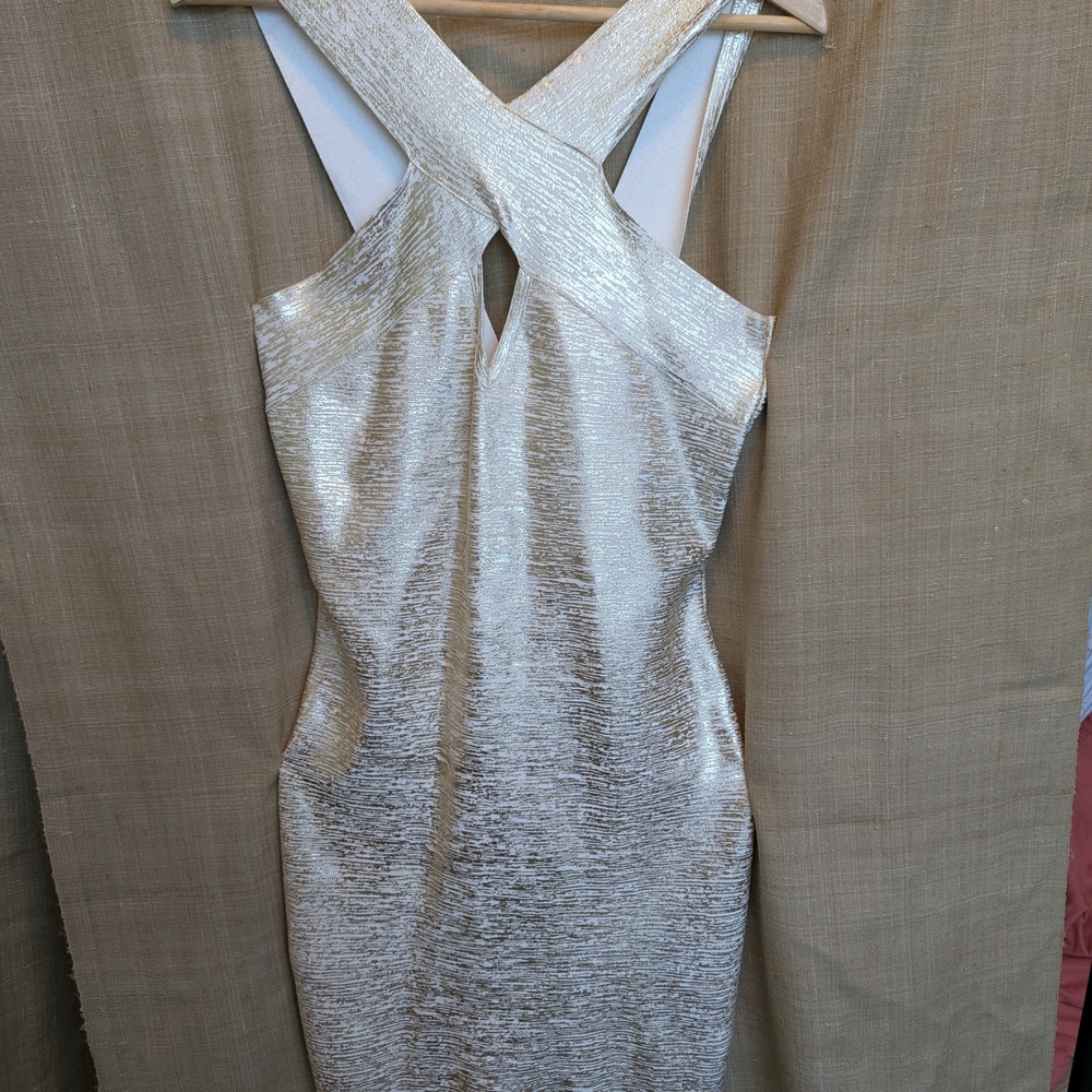 Bebe Shimmering Silver Backless Dress